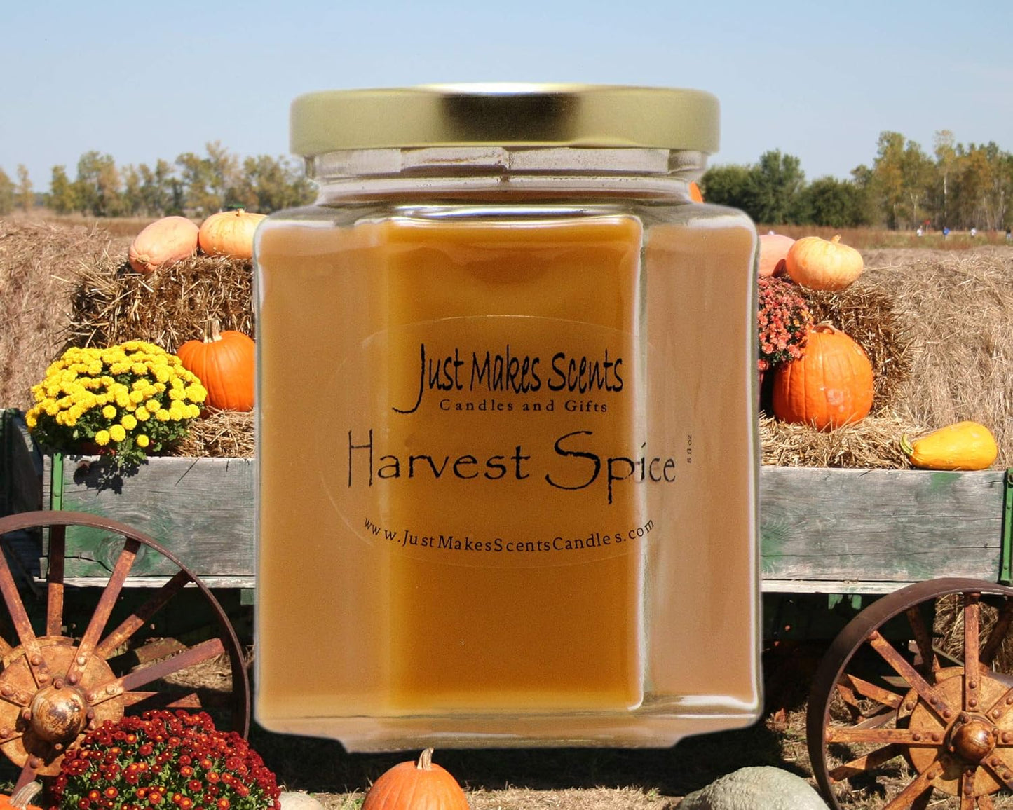 Harvest Spice Scented Blended Soy Candle | Fall Fragrance Candles | Hand Poured in the USA