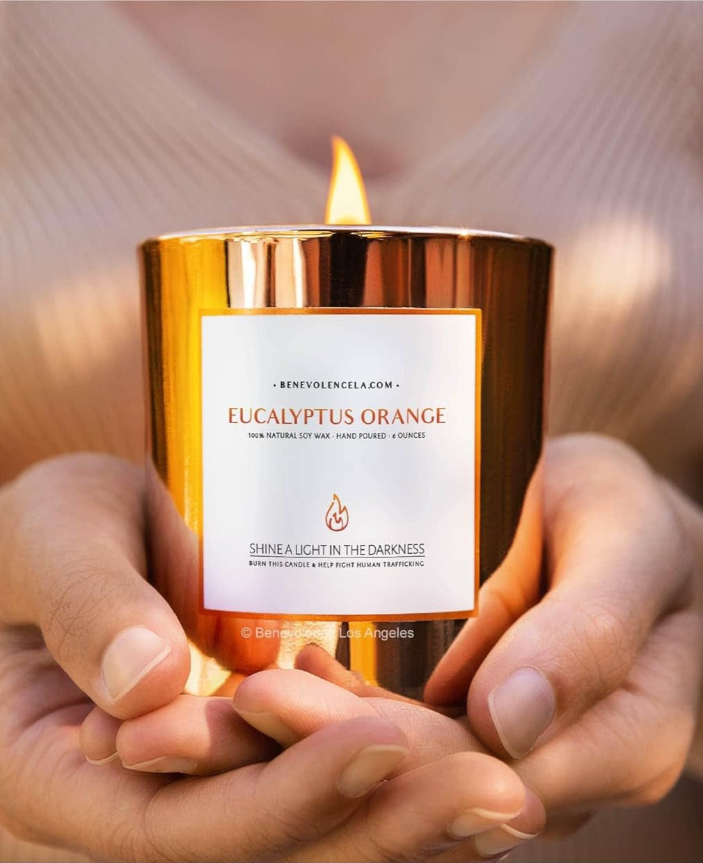 Eucalyptus Orange Wood Wick Candles | Soy Scented Candles for Home | Gifts for Women and Men | Home Fragrance | Aromatherapy | Shelf Decor, Bathroom Freshener | 8Oz, 45 Hour Burn